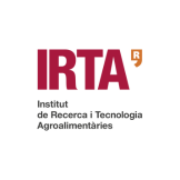 IRTA