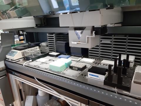 Freedom EVO liquid handler at laboratory CSAM, Stazione Zoologica